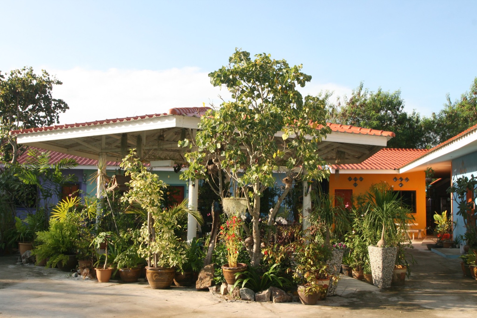 OOY's Garden Фото OOY's Garden